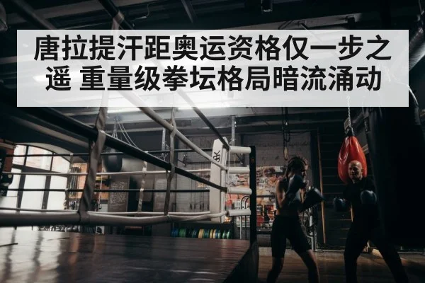 boxer training