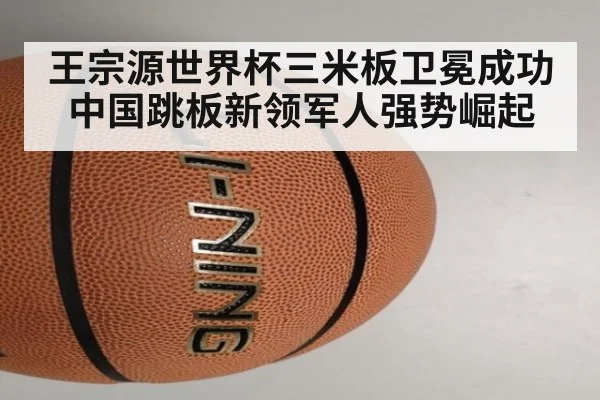 王宗源世界杯三米板卫冕成功 中国跳板新领军人强势崛起