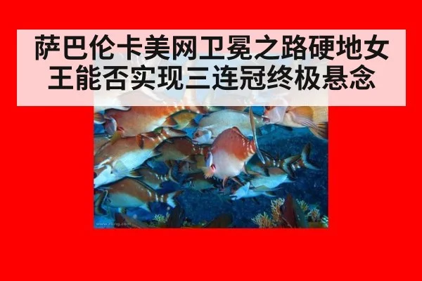 萨巴伦卡美网卫冕之路硬地女王能否实现三连冠终极悬念